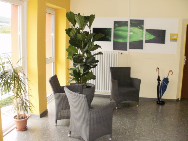 Foto der beiden Sessel und der Großpflanze auf dem Flur vor dem Schulleiterzimmer