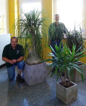 Foto Gärtnereiinhaber Herr Wigge und Herr Wigge mit den gespendeten Bäumen